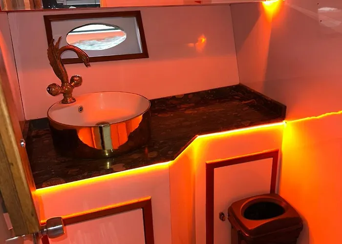 Private Bosphorus Yacht Tour 2-hour Cruise Not Botel *